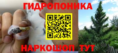 стафф Будённовск