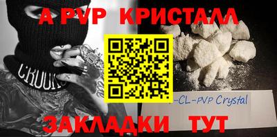 стафф Будённовск