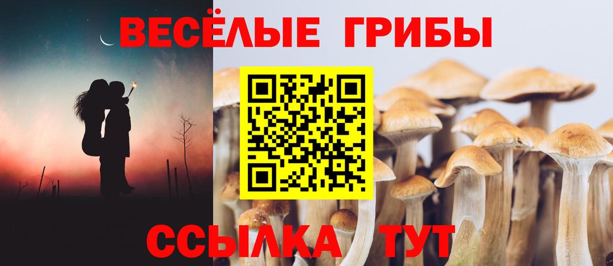 Пермь  Псилоцибиновые грибы MAGIC MUSHROOMS  Вход с VPN 
